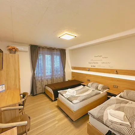 Guest house V Brne - Schodova *