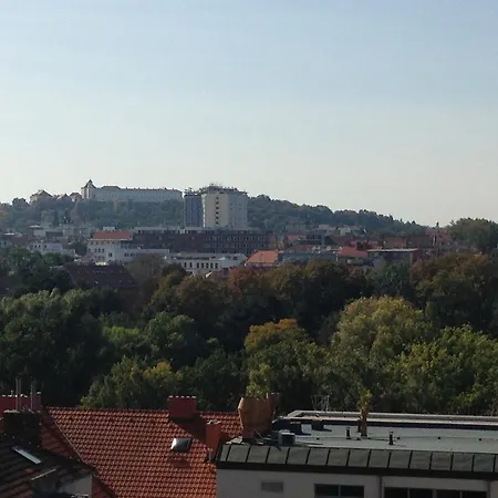V Brně